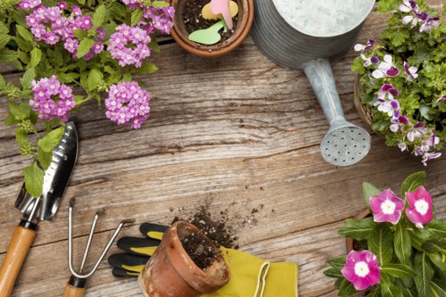 Sustainable garden practices in Lee with native plants