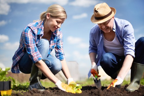 Professional tree lopping services in Lee