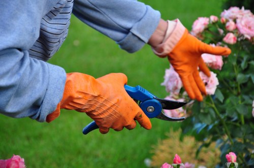 Homeowner performing DIY hedge trimming in Lee