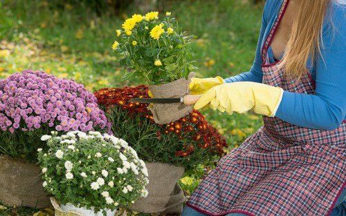 Mulched garden beds in Lee promoting moisture retention