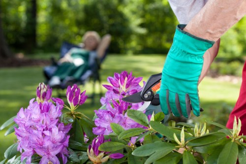 Removal of garden waste by our experts