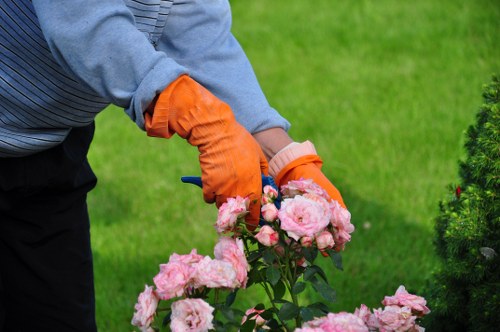 Eco-friendly garden clearance process