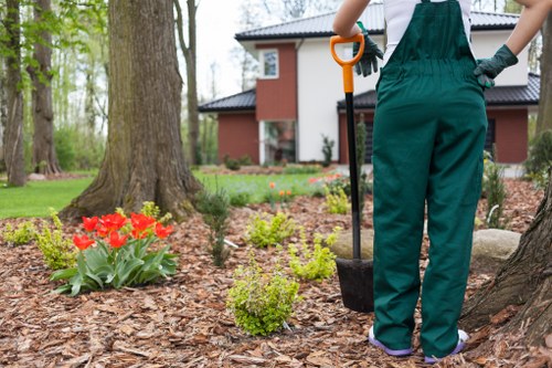 Before and after small garden tidy-up in a terraced property