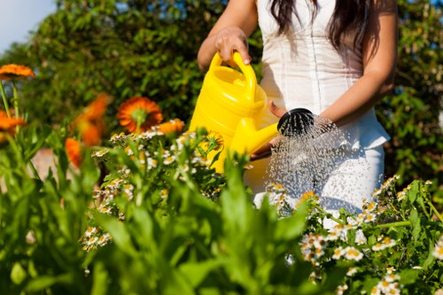 Gardener Lee planning a new garden project