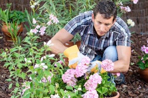 Various types of lawn mowing services offered in Lee