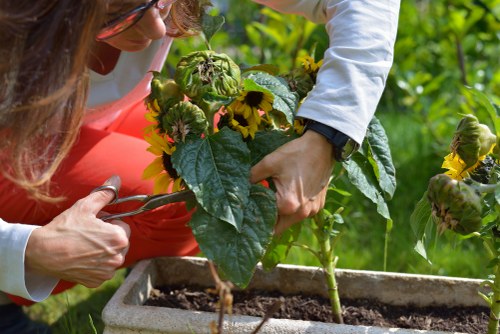 Sustainable gardening practices by Gardener Lee