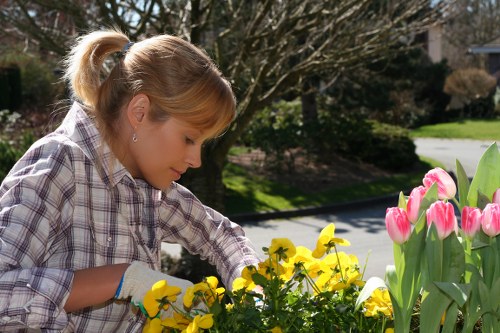 Close-up of native plants in Gardener Lee's garden